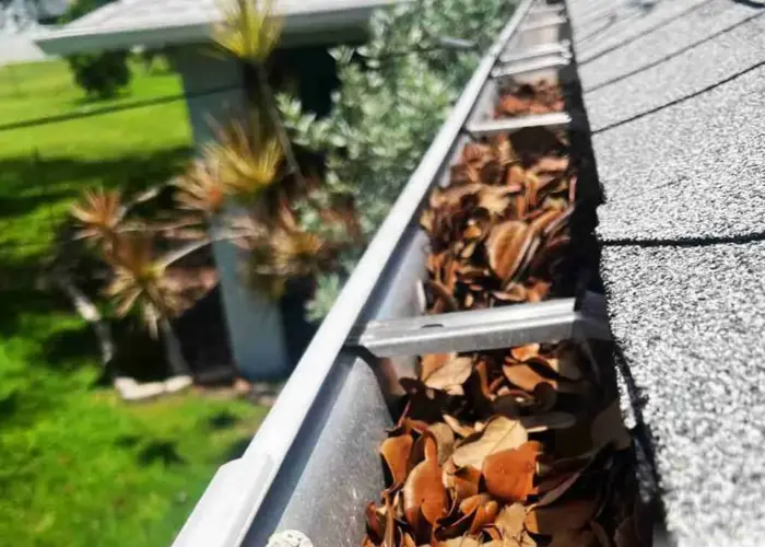 Collingswood gutter cleaning home page